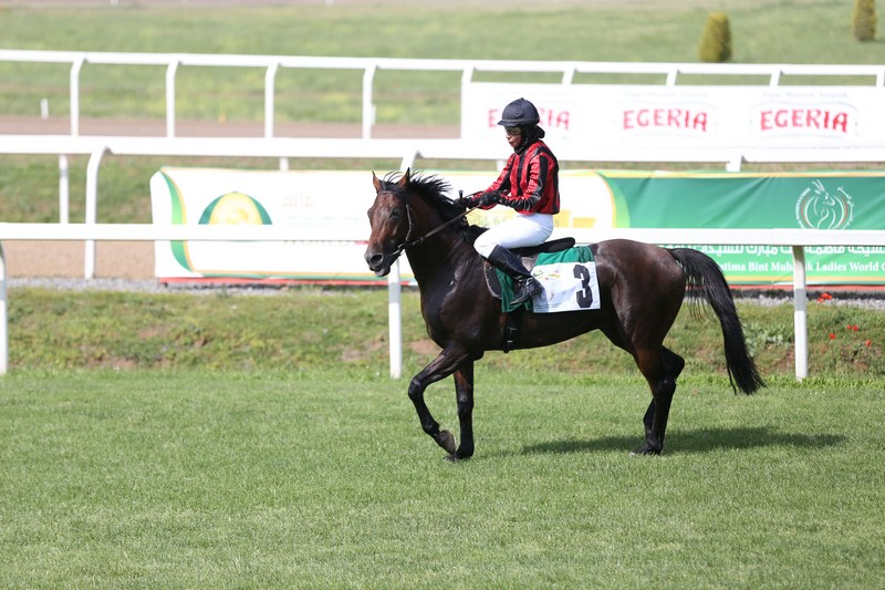 Ziyadd wins Listed Zayed Cup at Capanelle Race Course